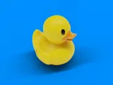 duck toy-0