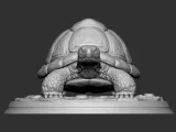 TORTOISE-2
