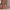 👸 Rapunzel Name Sign: Tangled Magic Decor - [Name Abril]