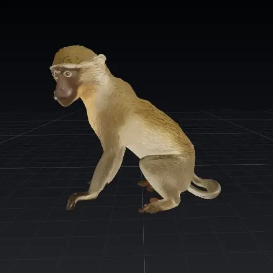 Macaco – Monkey