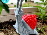 CUTE SNAIL PRINT IN PLACE-3