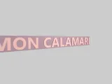 MON CALAMARI_ star wars keychain-2