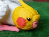 Cockatiel Articulated Figure-3