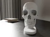 Skull Anatomy-0