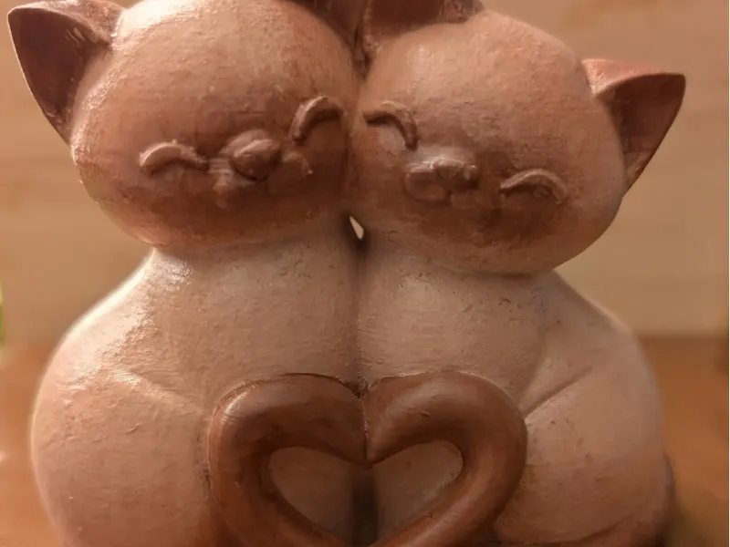 Two Siamese's twin cats showing Love with there Tails
