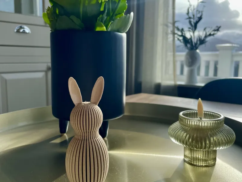Oogverblindende konijnendecoratie