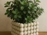 Pot Bubble -MOKA Design-1