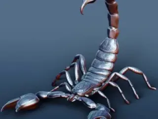 skorpion 