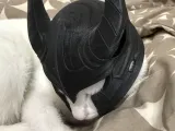 Katzenhelm-3