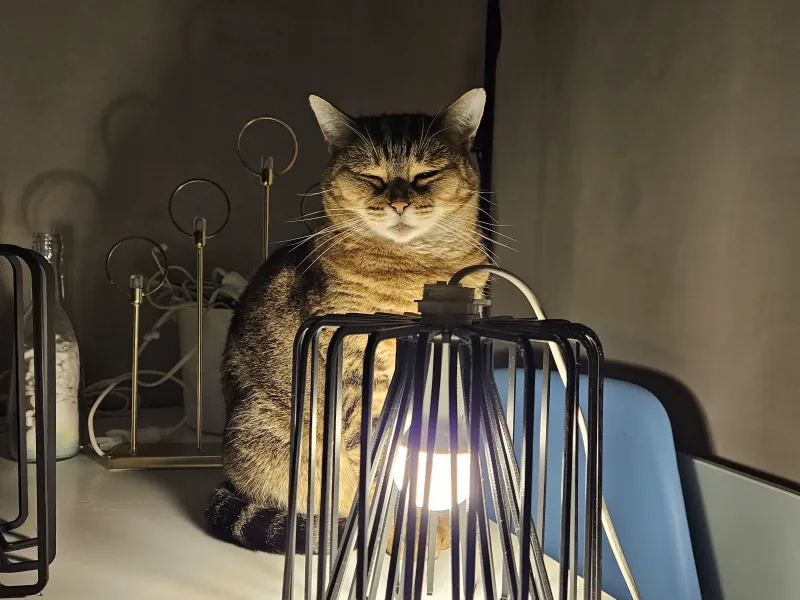 E14 Lampshade