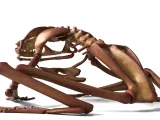 Frog Skeleton – Detailed Amphibian Anatomical 3D Model-5