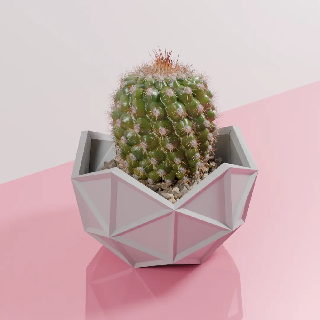 Geodesic cactus pot planter