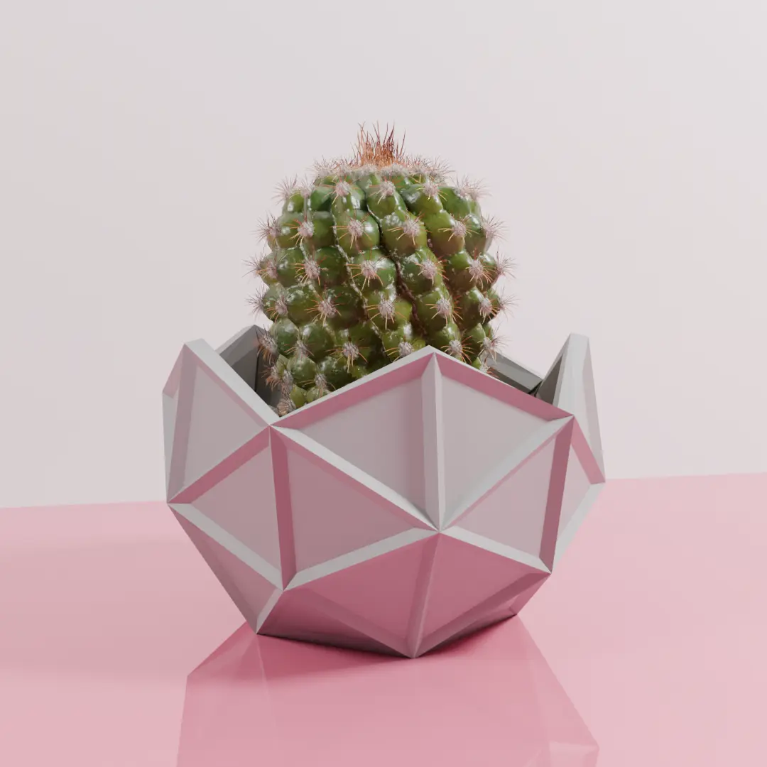 Geodesic cactus pot planter