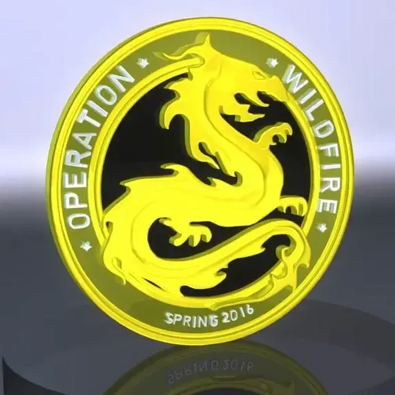 CS:GO / CS2 Wildfire Coin
