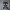 Black cat sitting 8-bit pixel art, 5 colors (by sub-object)