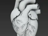 Heart / Herz-3