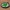 Skoda Logo Keychain
