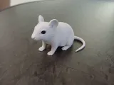 Realistic Mouse Figurine-1