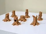 Tree Trunks and Stumps-2