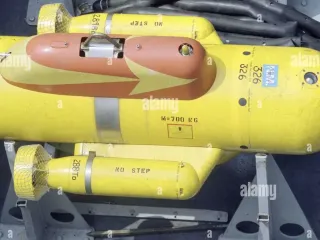 mine disposal sub