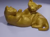 Cat Play-1