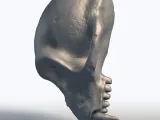 Monkey Skull 3D Model - Primate Anatomy Sculpture-5