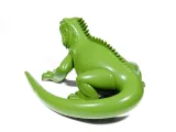 Iguana-3
