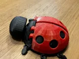 articulated ladybug-1