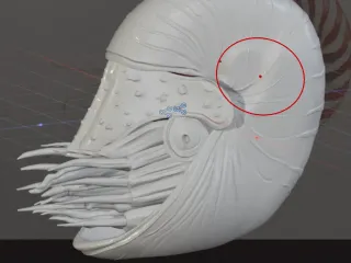 Nautilus v5