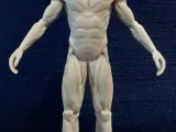 Erkek vücut anatomisi-2