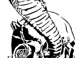 Cobra Skull stencil-0