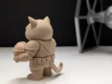 Grumpy Cat Mandalorian-6