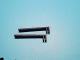 Plant - Feeder Ring Clips for Plastic Rimmed Aquariums-2