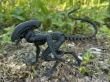 Alien, Xenomorph, monster from space-1