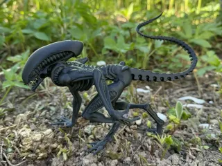 Alien, Xenomorph, monster from space