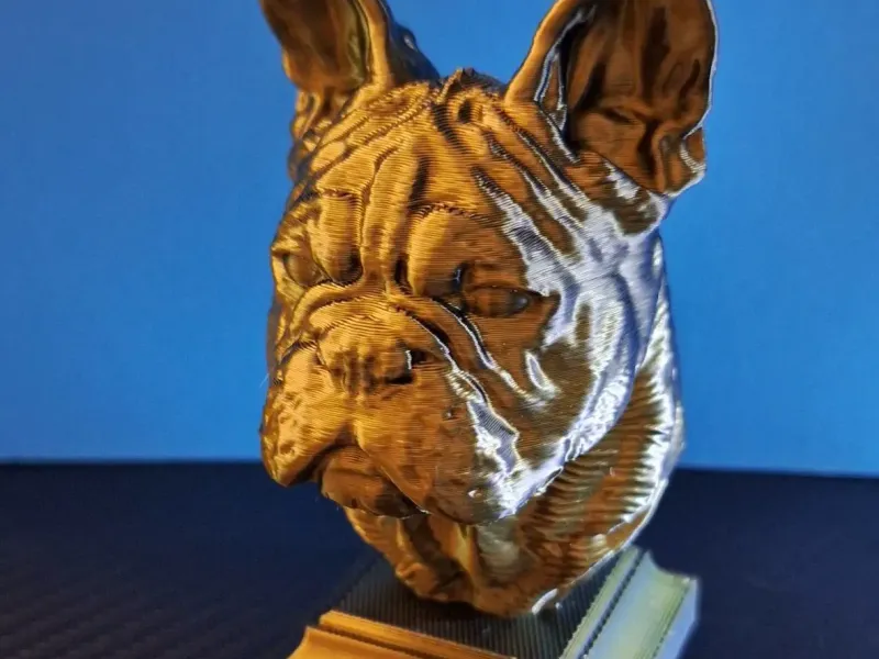 Busto di Bulldog Francese