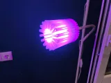Organic Light 01-4