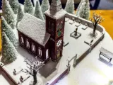 WartyNZ-2