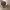 HomePod mini for Outlet