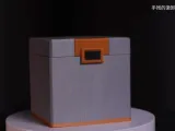 Die Box aus dem Lycaon-PV von Zenless Zone Zero-1