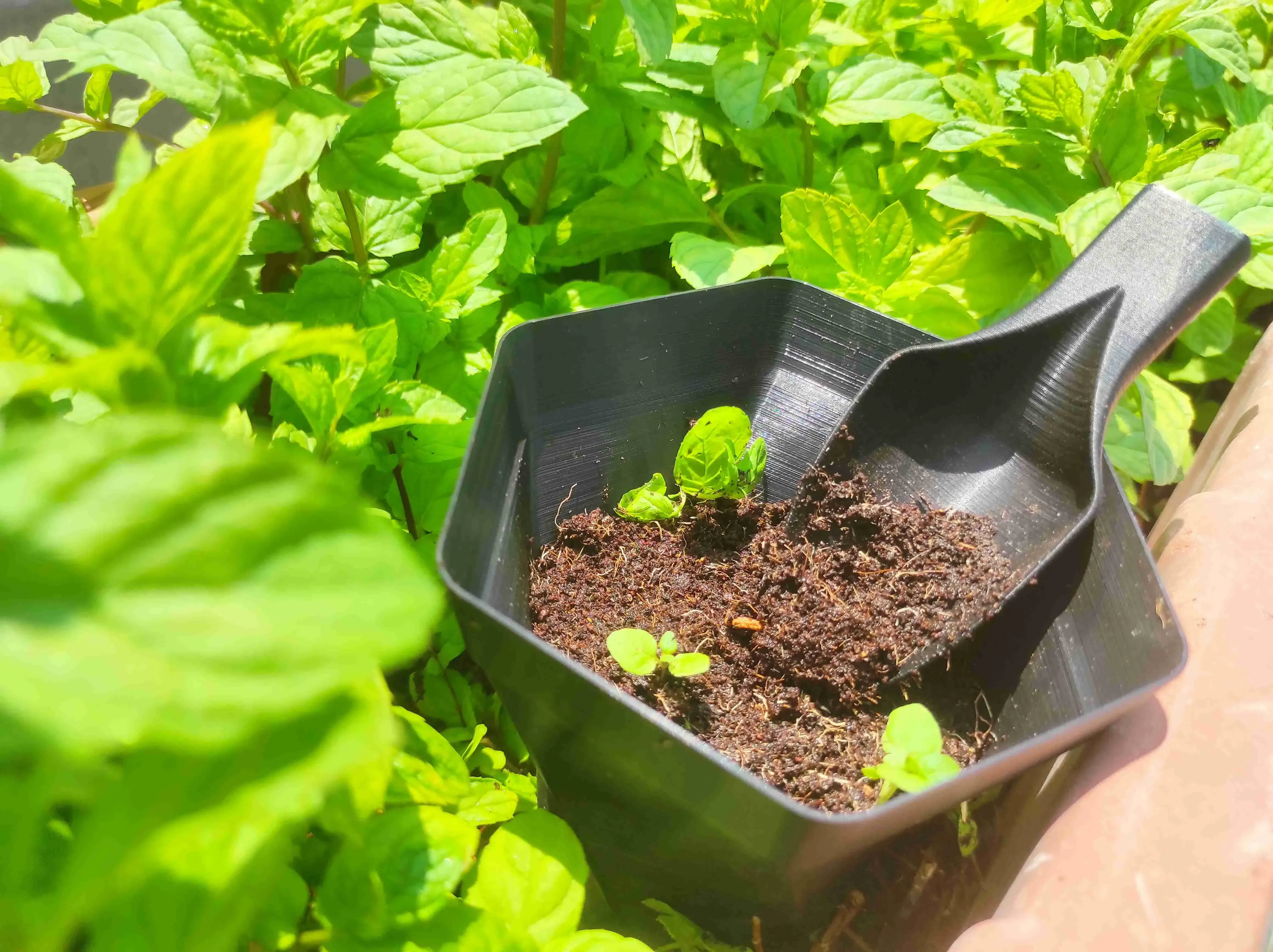 Tiny Garden Shovel + bonus Hex plant pots ALL Vasemode