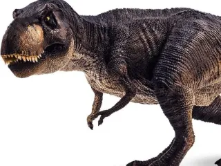 Dinosaur