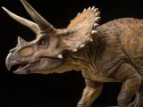 Triceratopo-0