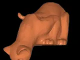 Curious Cat Peeking -6