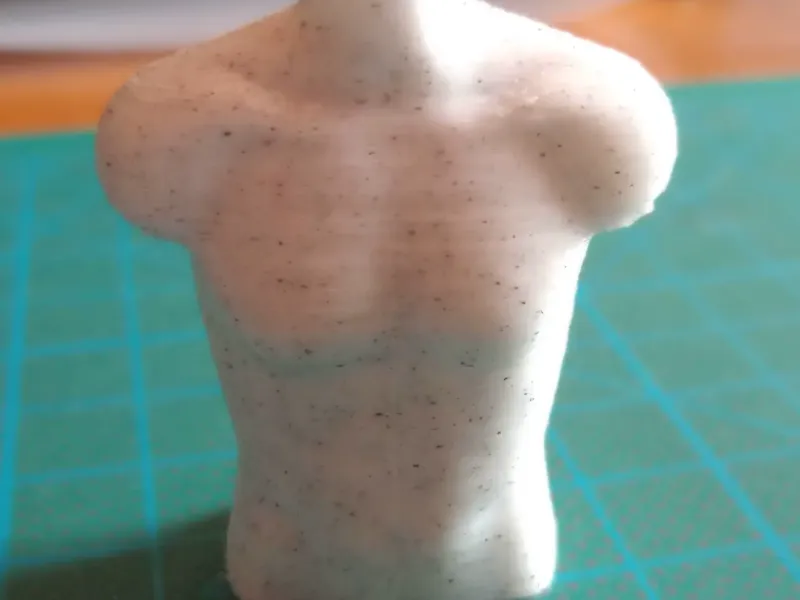 Male Torso Mannequin