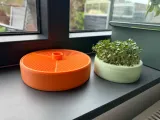 Sprouting Tray/Seed Germinator -  10cm-1