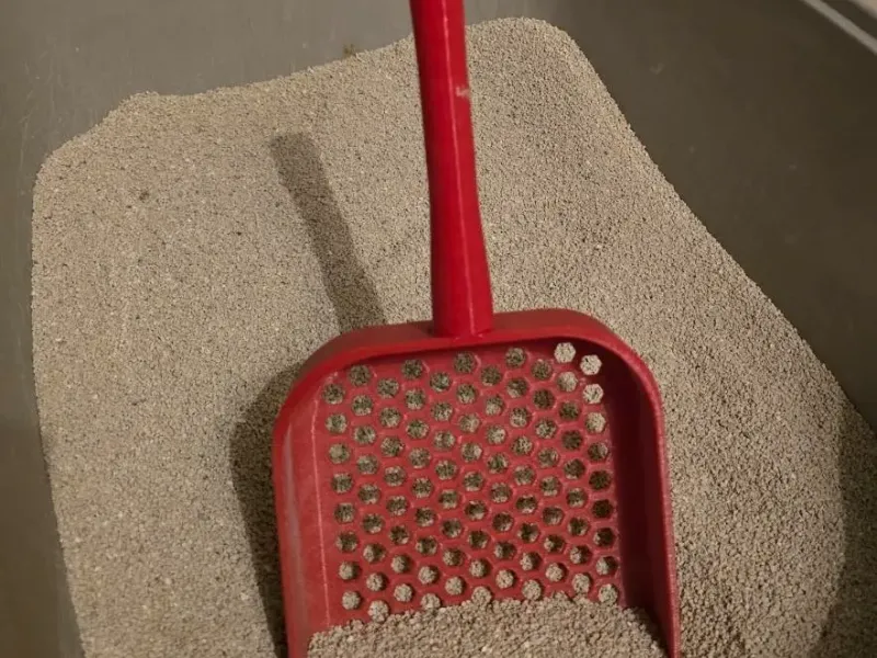 Pelle à litière pour chat