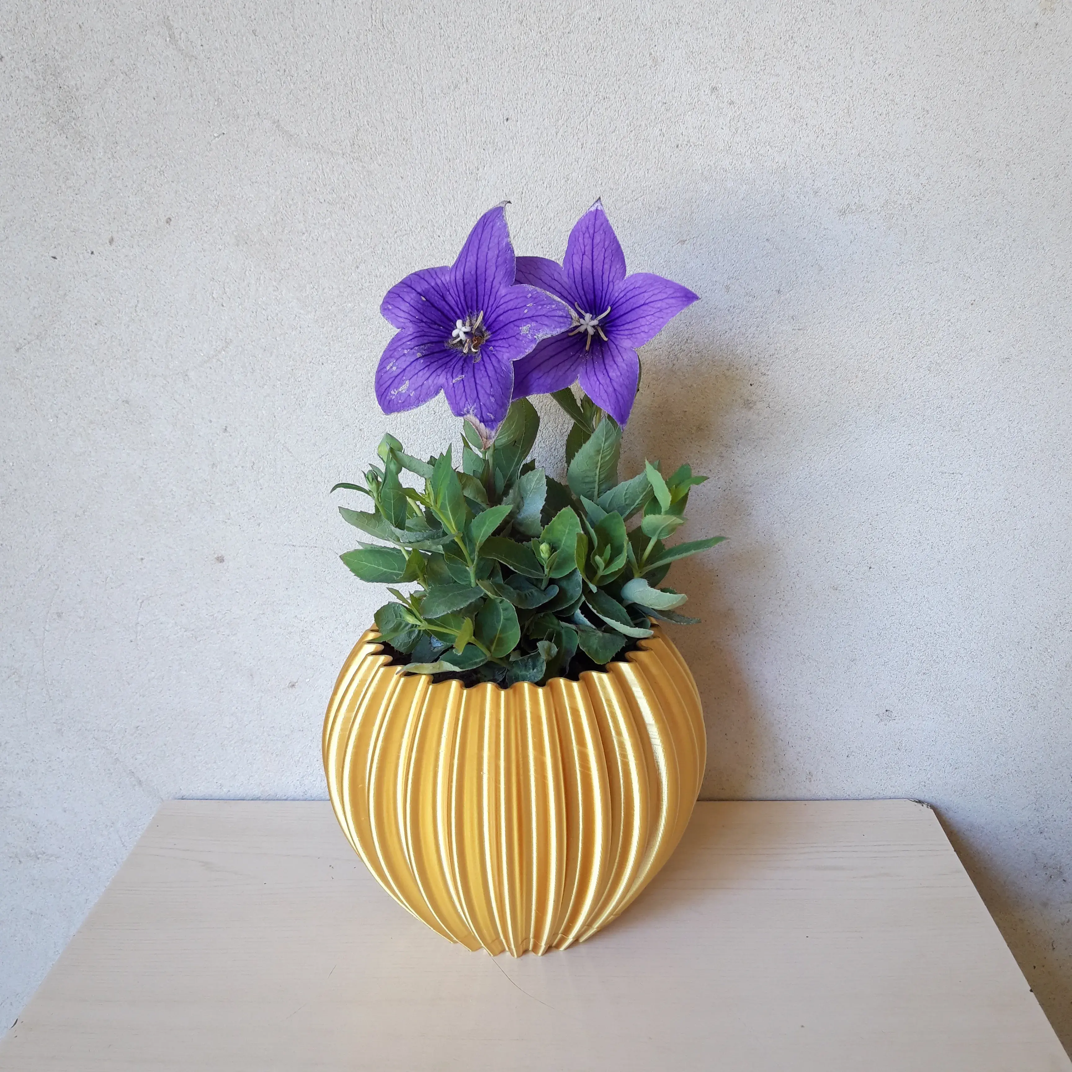 Flower pot