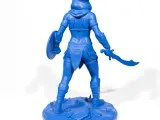 The desert warrior-5