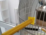 Жердочка для попугаев и певчих птиц-0